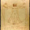 240px Da Vinci Vitruve Luc Viatour